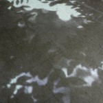http://ccc.dddd.mail.lightizm.com/files/gimgs/th-76_71_Nostalgia1_v2.jpg