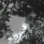 http://ccc.dddd.mail.lightizm.com/files/gimgs/th-76_71_Nostalgia2_v2.jpg